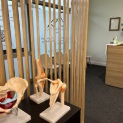 Peak Physio Peakhurst for Sale - Modern MSK + Women&#039;s Health Clinic